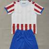 Paraguay Wereldbeker Shirt Voetbal kleding Fans versie