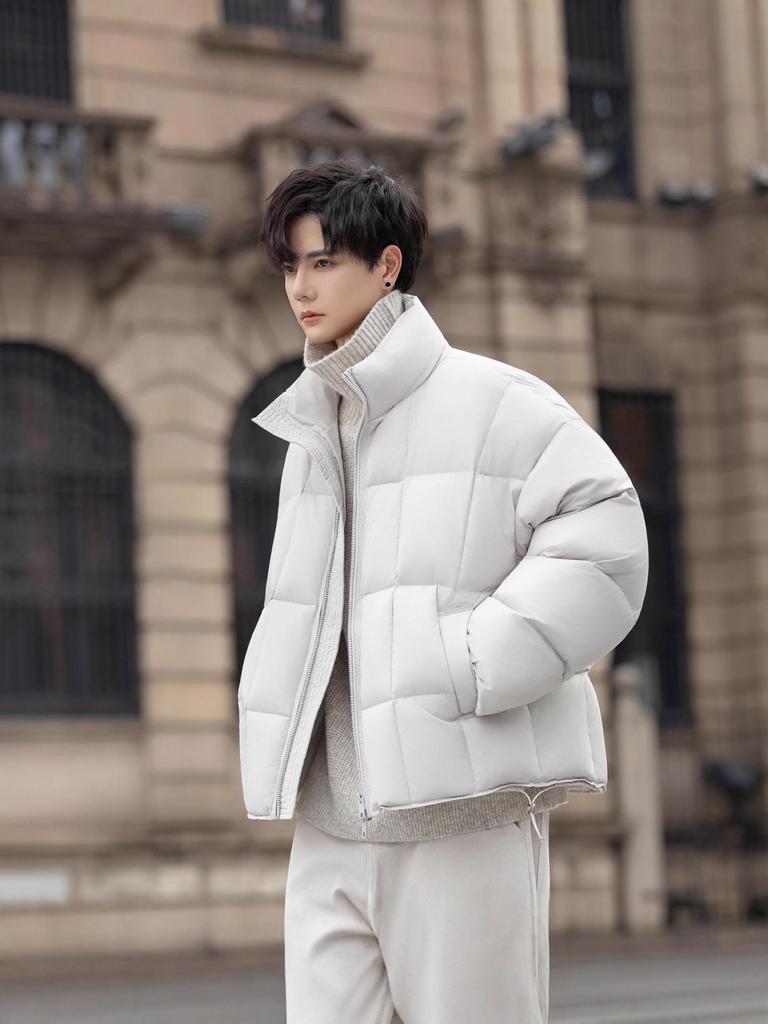 Men's 2025 Trendy Stand Collar Short Down Jacket - Casual Thick Warm White Duck Outerwear