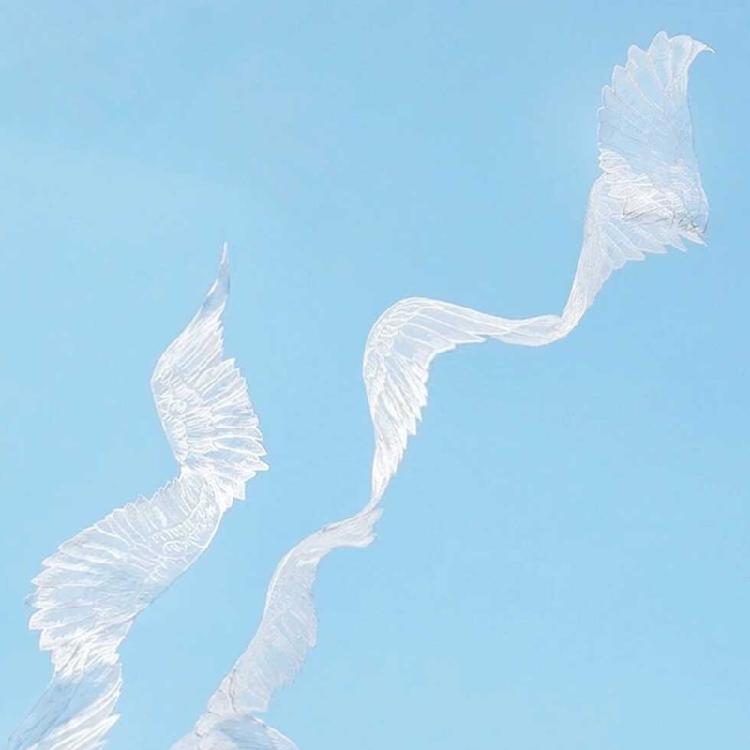 Châle en Dentelle Aile de Papillon Fille Costume Ancien Chinois Foulard Châle de Soirée