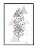 Picture Poster In a Frame 43x33 Cm Feather P1189