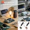 ESP11-C1 Development Board Supermini WiFi Bluetooth IoT Module With External Antenna Interface Support Low Power for DIY Project