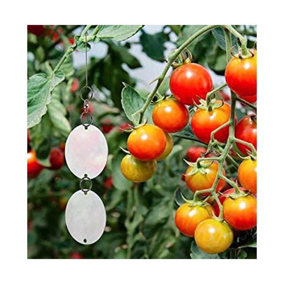 Disques réfléchissants, épouvantail à oiseaux en acier inoxydable avec réflecteurs double face pour une protection efficace, girouettes pour la