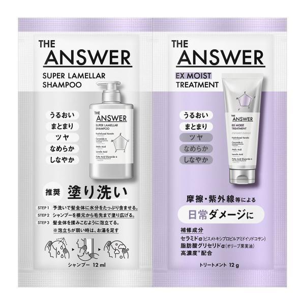 Kao THE ANSWER Shampoo and Treatment Trial Set