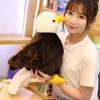20/30cm Cute Lifelike Sea Eagle Plush Toys Stuffed Plush Marine Animal Toy Soft Doll Lovely Birthday Gift