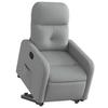 Vidaxl Lift and Tilt Recliner, Light Gray, Fabric Upholstered