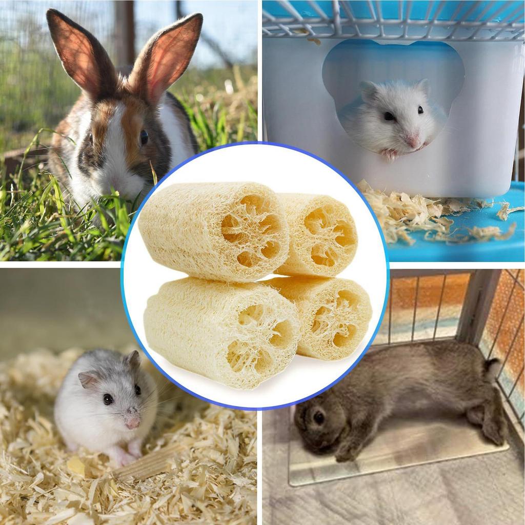 Kaninleksaker Naturlig Luffa Stöd Näring Lekgodis 4 Stycken Hälsosam Hamsterleksak För Husdjur Smådjur Chinchillafamiljen