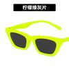 Fashion Retro Cat Eye Sunglasses Women Vintage Shades UV400 Protection Sexy Street Wear Jennie Eyewear Jinue Oculos