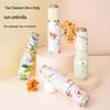 Accessoires – Paraplu's