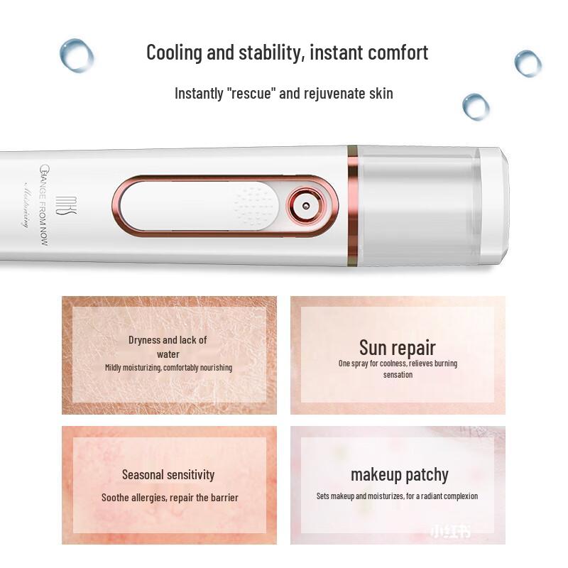 MKS NV8088 Nano Facial Mister with Power Bank