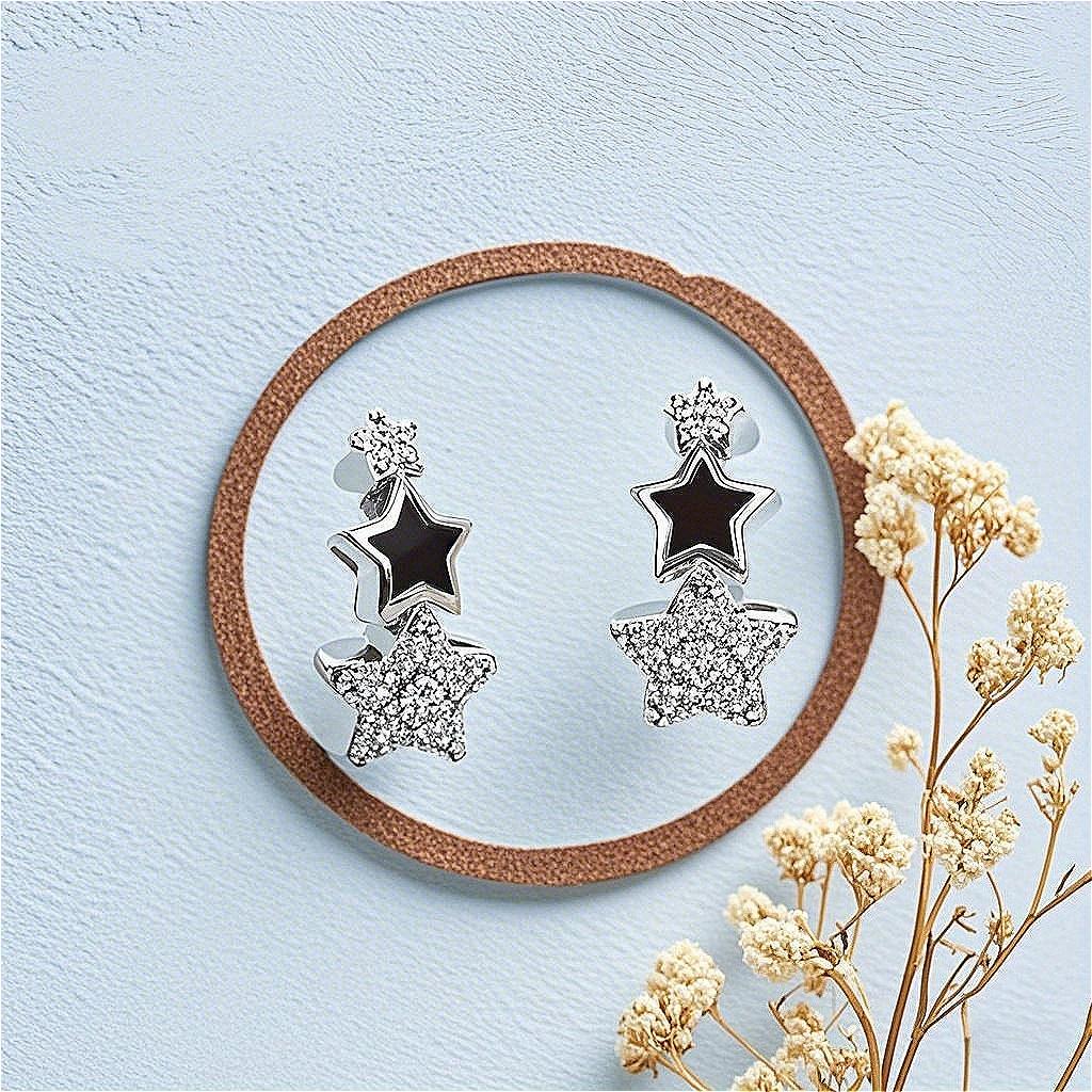 European and American women's fashionable and simple star earrings, personalized and creative high-end party earrings