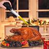 with Brush Turkey Baster Silicone Bulb Dishwasher Safe Food Injector Black Large Meat Injector Poultry Flavoring