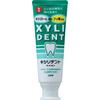 Xylident Lion Toothpaste, 120g, with Xylitol and Fluoride To Prevent Cavities