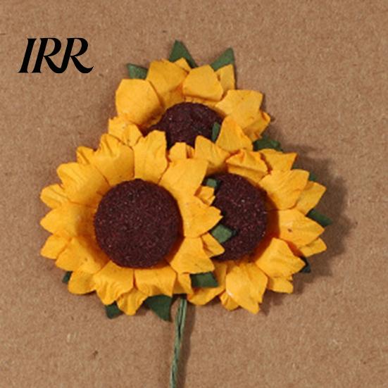 Natürliche Trockenblumen-Karte 2 Stück Gruß Handgemacht Retro Geschenk Botanisch DIY Einladung Wunsch für Hochzeit Geburtstag Babyparty Abschluss Einzigartig