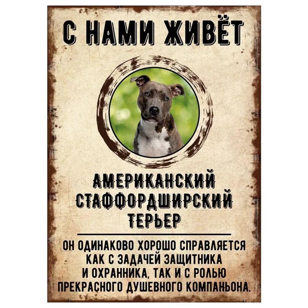 Schild, dekorativ, GEFAHR HUND, Schnauzer lebt bei uns, 20x30cm