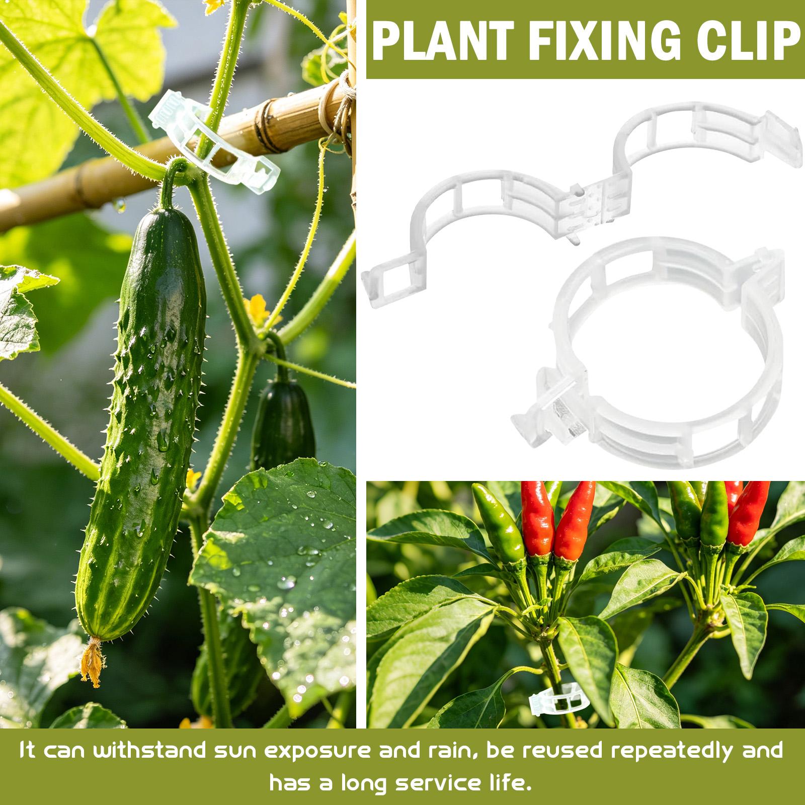 

50pcs Plastic Plant Support Clips Adjustable Garden Plant Stem Holders for Vine and Flower Stabilization Secure Plant Growth One Size