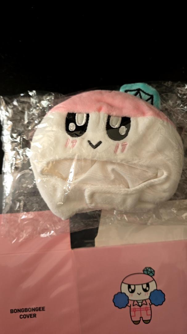 

[USED] SEVENTEEN Bonbonyi penlight cover