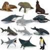 Children's Teaching Aids Knowledge and Knowledge Learning Cards 12 Hand-painted Dinosaurs Marine Animals Science and Education Model Toys