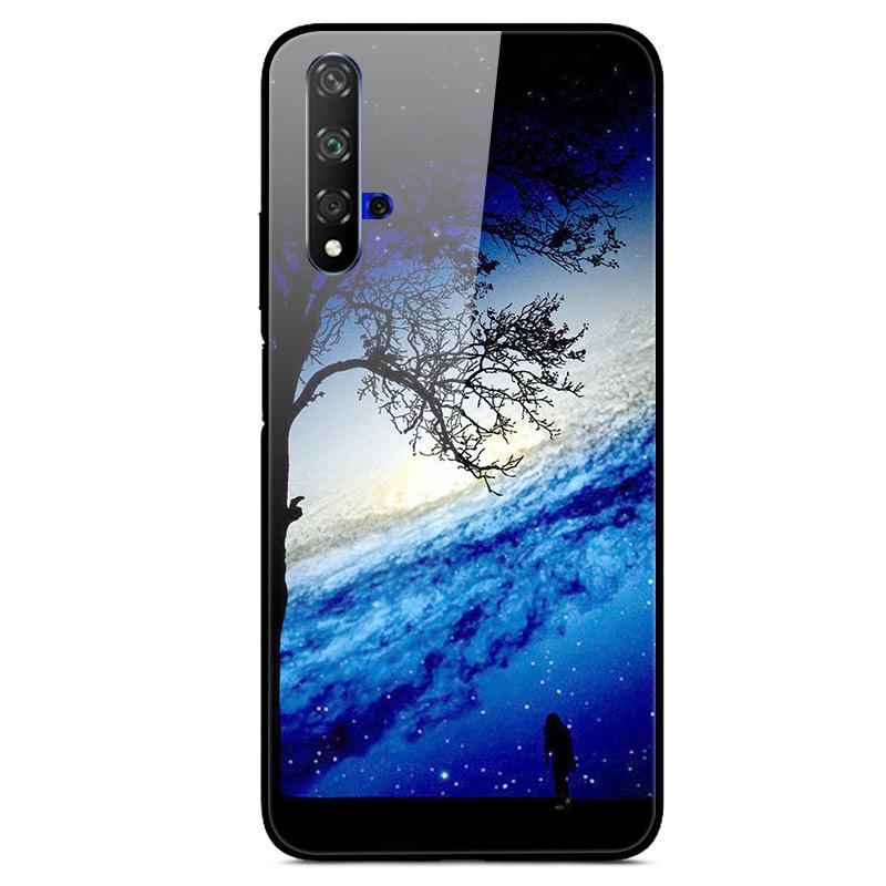 For Huawei Nova 5T Case Tempered Glass Cover 3D Cat Printing Case For Huawei Nova 5T 2019 5 T Phone Case For Huawei Nova5T Cover