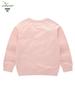 Children's Dinosaur Cartoon Crewneck Sweatshirt for Boys & Girls