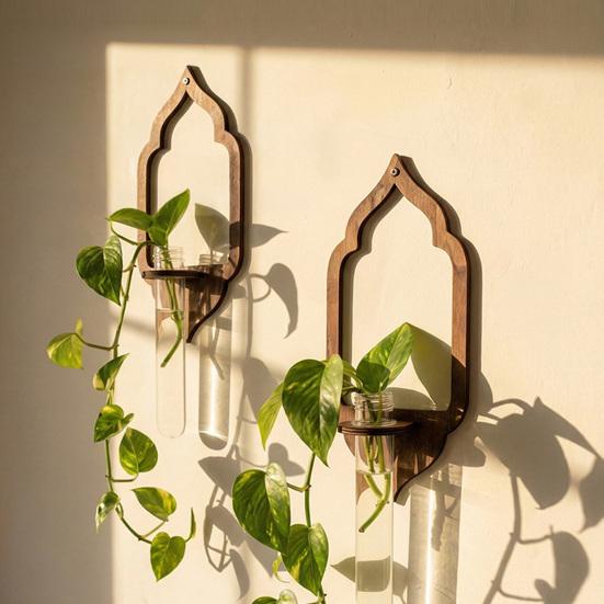 Plant Propagation Station Wall Hanging Wooden Shelf Plant Terrarium for Hydroponics Home Office Decor Air Plant Cutting Holder Propagate Test Tube for
