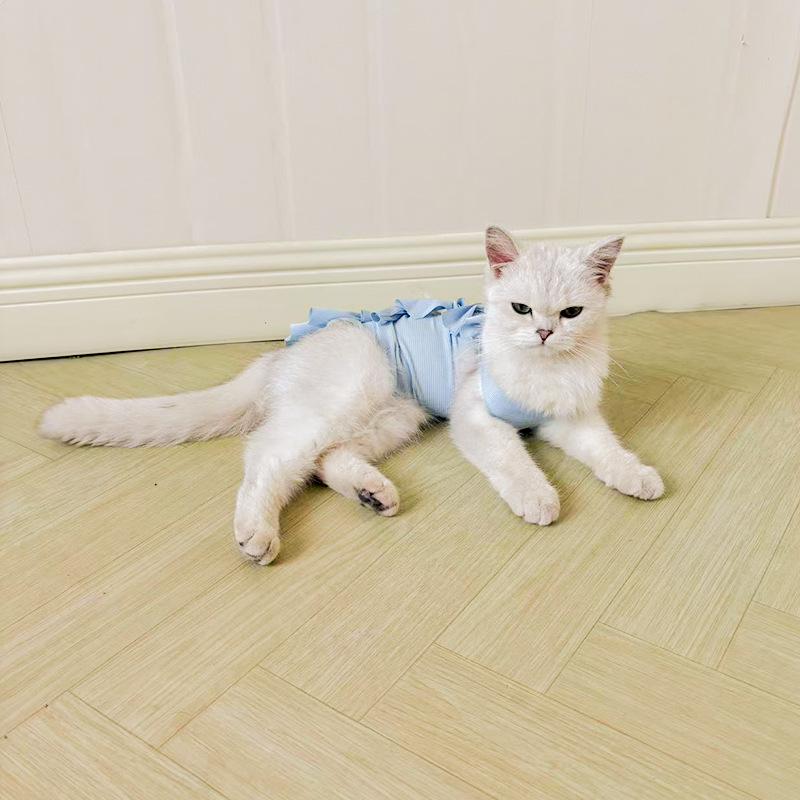 Cat Post-Surgery Recovery Suit - Breathable, Anti-Lick Wear for Medication and Weaning