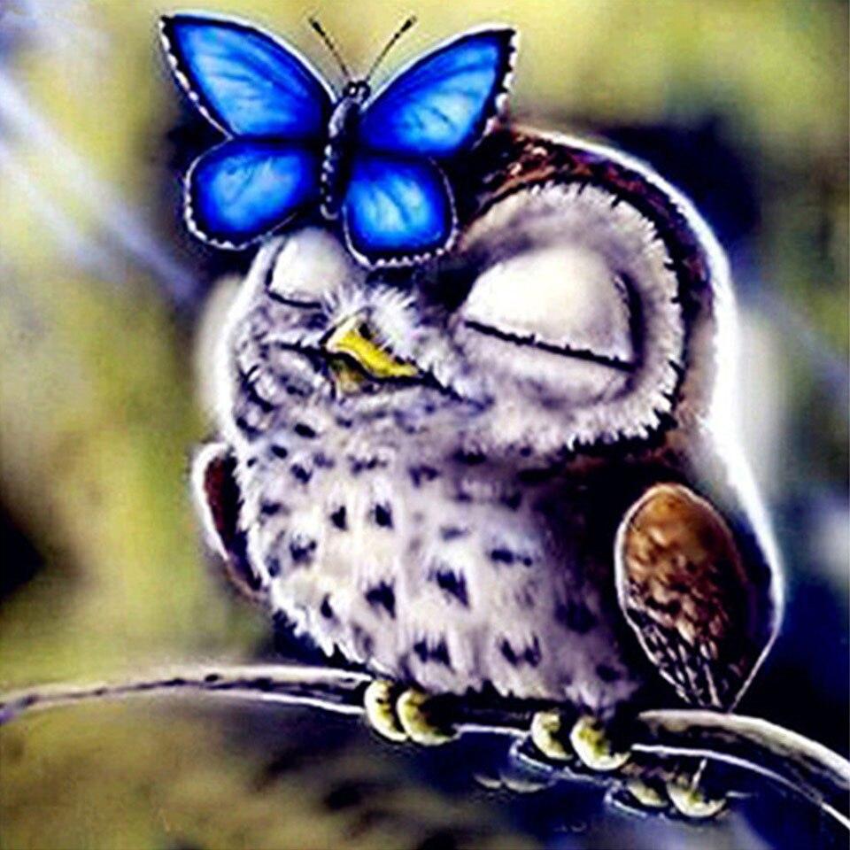5D DIY Diamond Painting  Animal Parrot Owl Bird Cross Stitch Full Drill Diamond Embroidery Mosaic Art Picture Rhinestones Decor