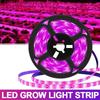 3/5m LED Light For Plant Growing, Full Spectrum, 5V USB LED Light Strip, LED Phyto Lamps For Plants Greenhouse Hydroponic Growing