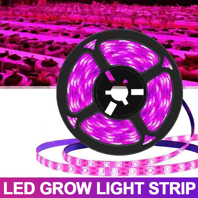 

Светодиодная лампа 3/5 м для выращивания растений, полный спектр, светодиодная лента USB 5 В, светодиодные фитолампы для гидропонного выращивания растений в теплицах 3M