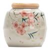 Zhi Nian Hua Ceramic Tea Caddy