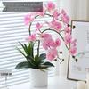 Artificial Phalaenopsis Floral Arrangement for Living Room Display - Potted Decoration for TV Cabinet