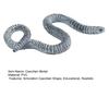 PVC Caecilian Collectible Model Lifelike Miniature Tropical Amphibious Caecilian Figurine Animal Boys Girls Educational Toy Decoration