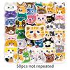 50 sheets original cat head - 1320x