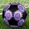 Pallone da Calcio FK Austria Wien Taglia 5 Colorato Cucito a Macchina PVC Pronto per la Competizione Resistente Alta Rimbalzabilità