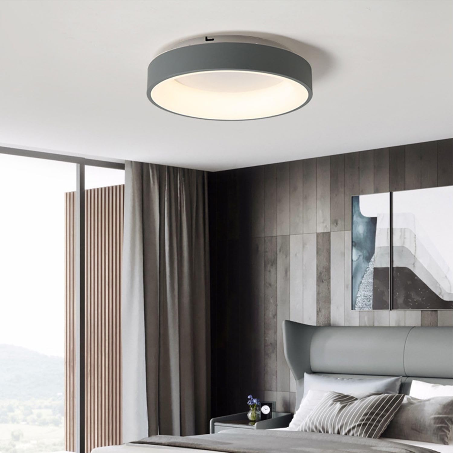 

NJTOZXZC Потолочный 6 татами 9 татами 12 татами 14 татами Скандинавское освещение приложение для смартфона пульт дистанционного управления бесступенчатый пульт крючок без строительства таймер