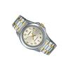 Casio STANDARD Series, Life Waterproof and Leisure, Quartz Movement, Stainless Steel Strap, Japanese and Korean Watch, Men's Watch, MTP-1215SG-7B3DF