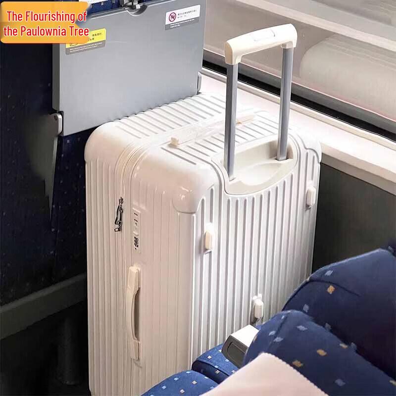 

Zizhisheng Large Capacity Anti-Scratch Zipper Luggage