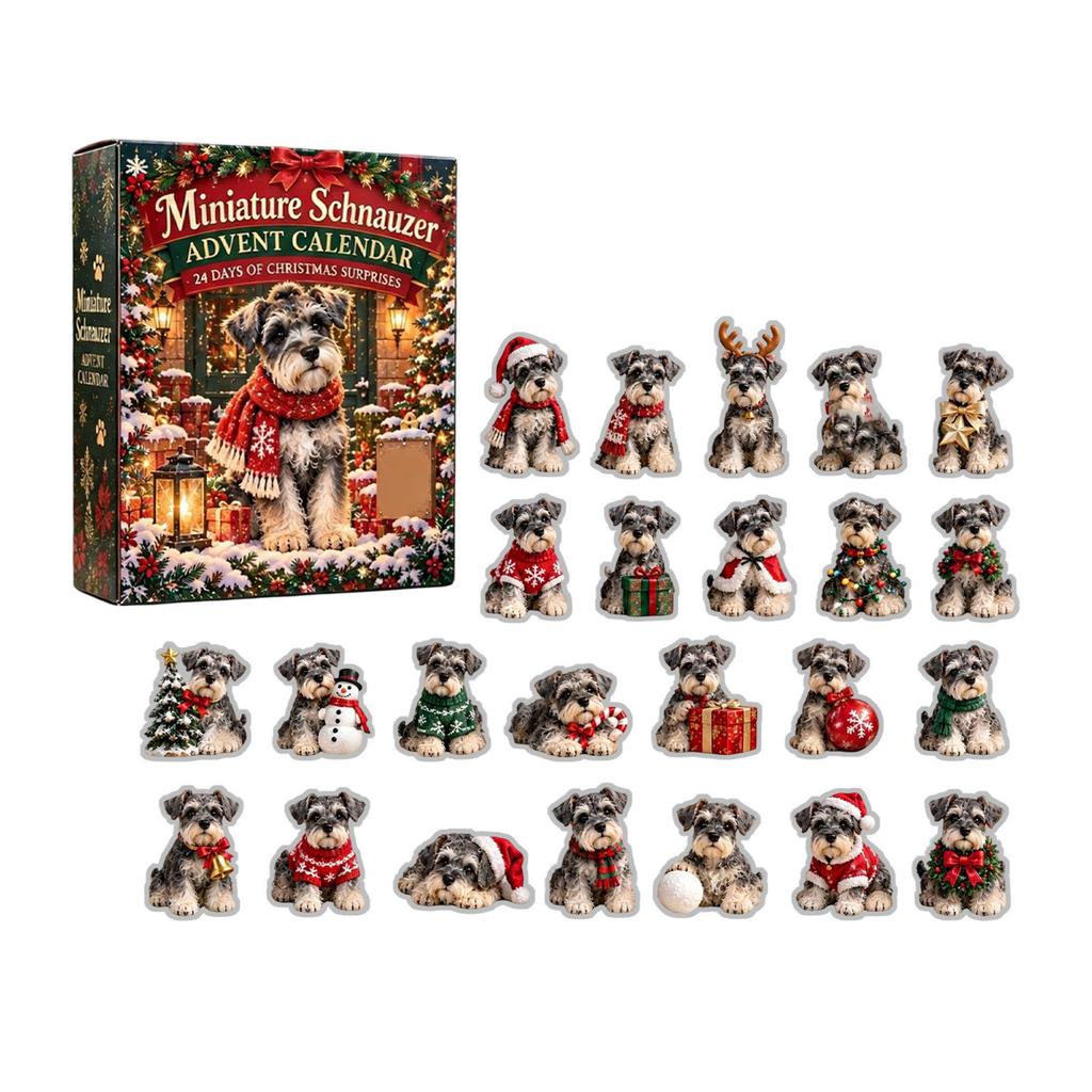 2026 Winter Outdoor Advent Countdown Calendar with 2D Box Pendant