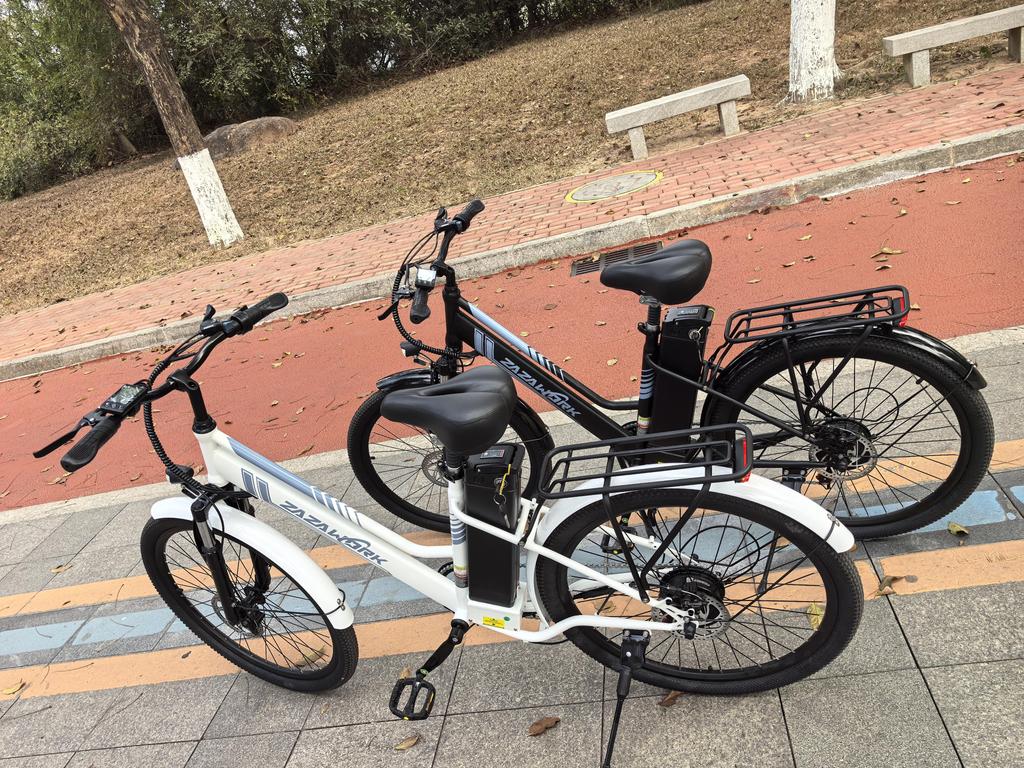 ZAZAWORK C26 Pro Electric Bike for Adults 26" 250W Motor 36V 20Ah Battery 26 Inch Wide Tires 120KM Range E-Bike
