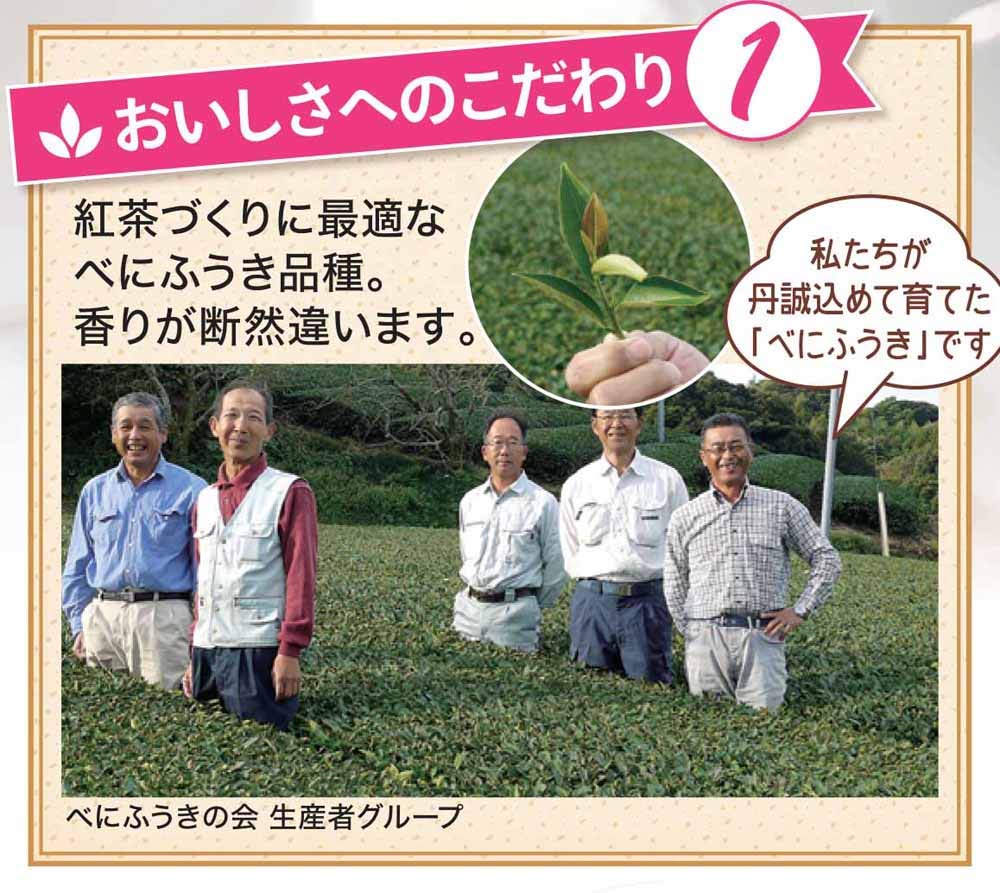 Shizuoka Tea Leaves Kakegawa Black Tea Shiawase Kaori Tea Bags, 10 Tea Bags x 3 Tea Bags