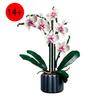 Set di Costruzioni Floreali Orchidee, Set Decorativo da Assemblare Fai da Te, Regalo di Natale per Fidanzata e Moglie