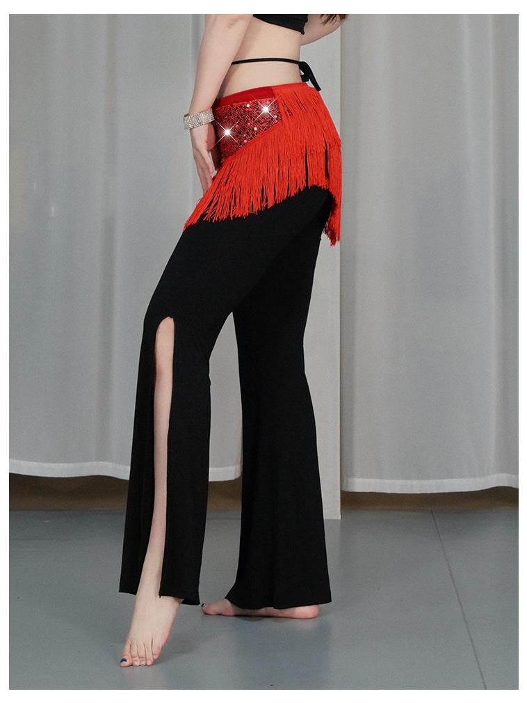 Belly Dance Sequin Tassel Hip Scarf for Stage Performance and Practice