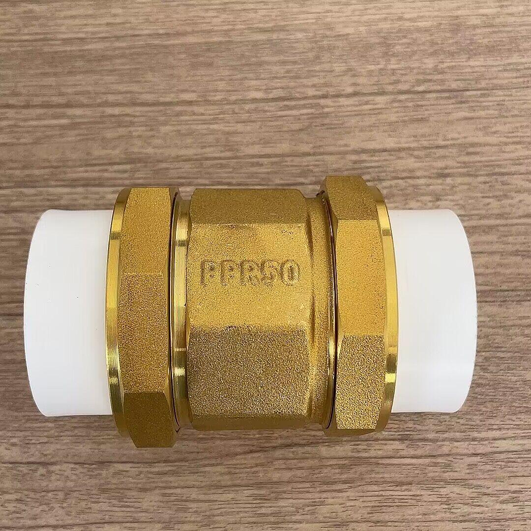 

Горизонтальний латунний зворотний клапан PPR для гарячого розплавлення, запобігання зворотному потоку та зворотного руху - Доступний у розмірах 4 точок, 6 точок та 1 дюйм.