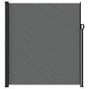 Retractable Side Awning Anthracite 220 x 300 cm