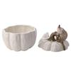 Country Living Hedgehog Storage Pot