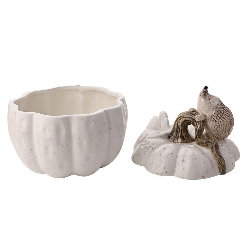 Country Living Hedgehog Storage Pot