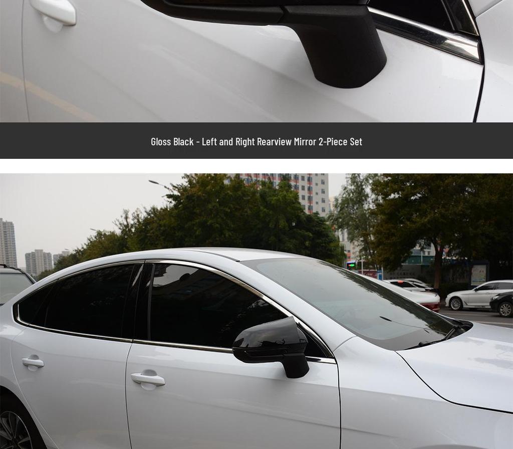 BYD Seal 05dmi Rearview Mirror Protective Cover