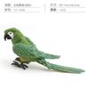Simulation Forest Bird Bird Animal Model Parrot Static Solid Pet Bird Ornament Decorative Toy