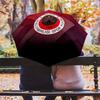 Gençlerbirliği SK  Pattern, Automatic Folding Umbrella, Portable and Foldable Design, 8 Ribs, a Christmas or Birthday Gift.