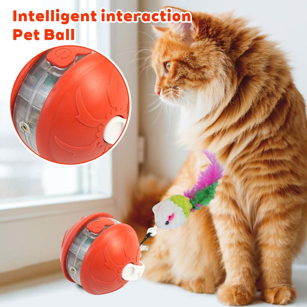 Indoor Cat Interactive Light Up Cat Toy, Rechargeable Electric Cat Ball, Electric Rolling Cat Toy(4 Tail Styles Are Sent Randomly)
