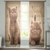 Roztomilá zvířátka Kočka Moderní závěsy do obývacího pokoje Průhledné tylové závěsy Průsvitné okno do ložnice Příslušenství Dekor